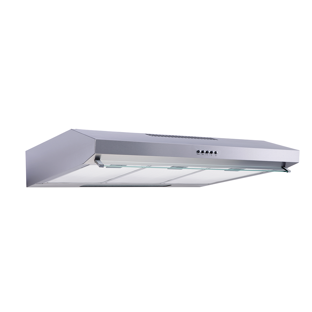 Purificador PRAE DH10A 90 cm C/Filtro Carbón Inox